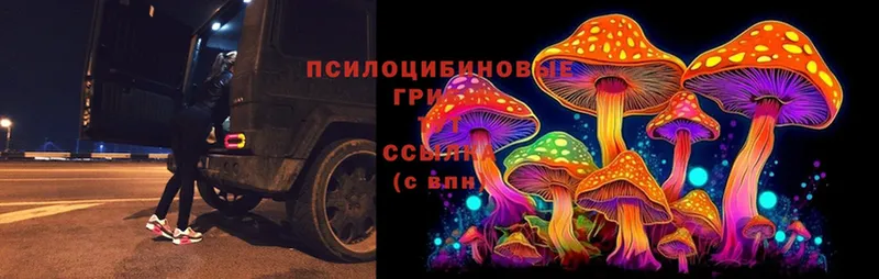 мега маркетплейс  продажа наркотиков  Агидель  Псилоцибиновые грибы Magic Shrooms 